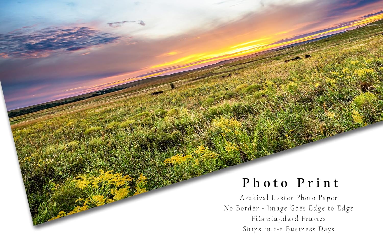 Great Plains Photography Print (Not Framed) Picture of Scenic Sunset over Tallgrass Prairie on Autumn Day in Oklahoma Landscape Wall Art Western Decor (24" x 36")