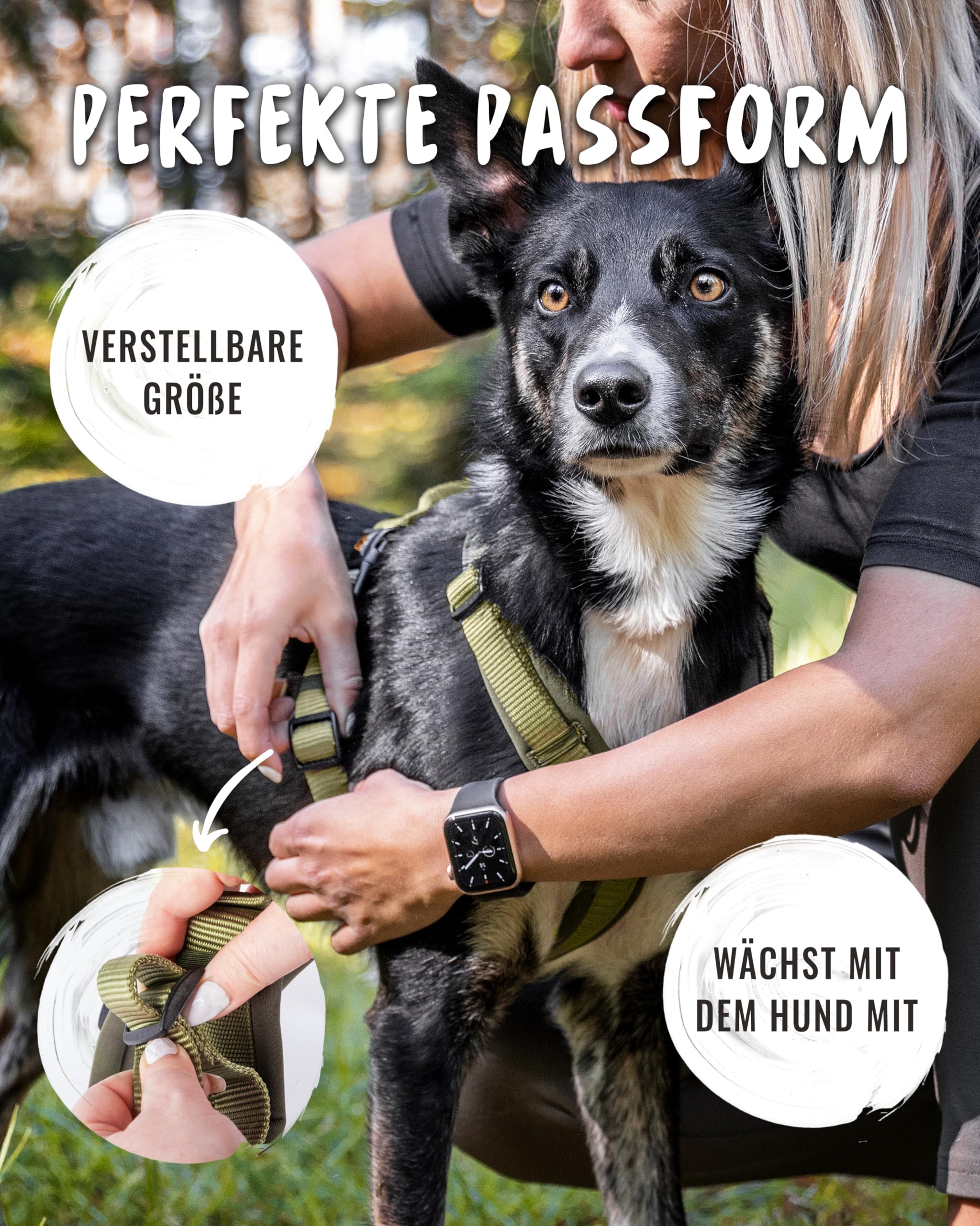 Rudelkönig Hundegeschirr Bella - Gepolstertes Brustgeschirr mit Haltegriff - Geschirr Hund mittel in Y-Design - Verstellbares Hundegeschirr mittelgroße Hunde