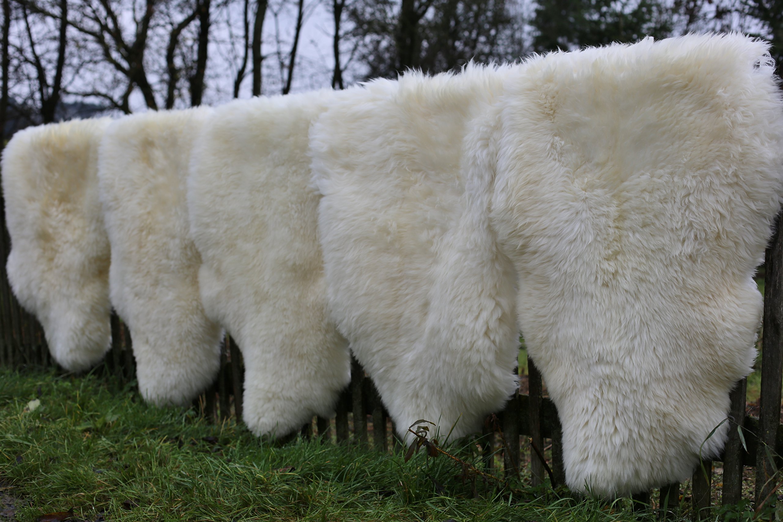 Hollert Cuir d'agneau Champagne 100-110 cm Mouton Mérinos Fourrure Tapis Fourrure Naturelle Décoration