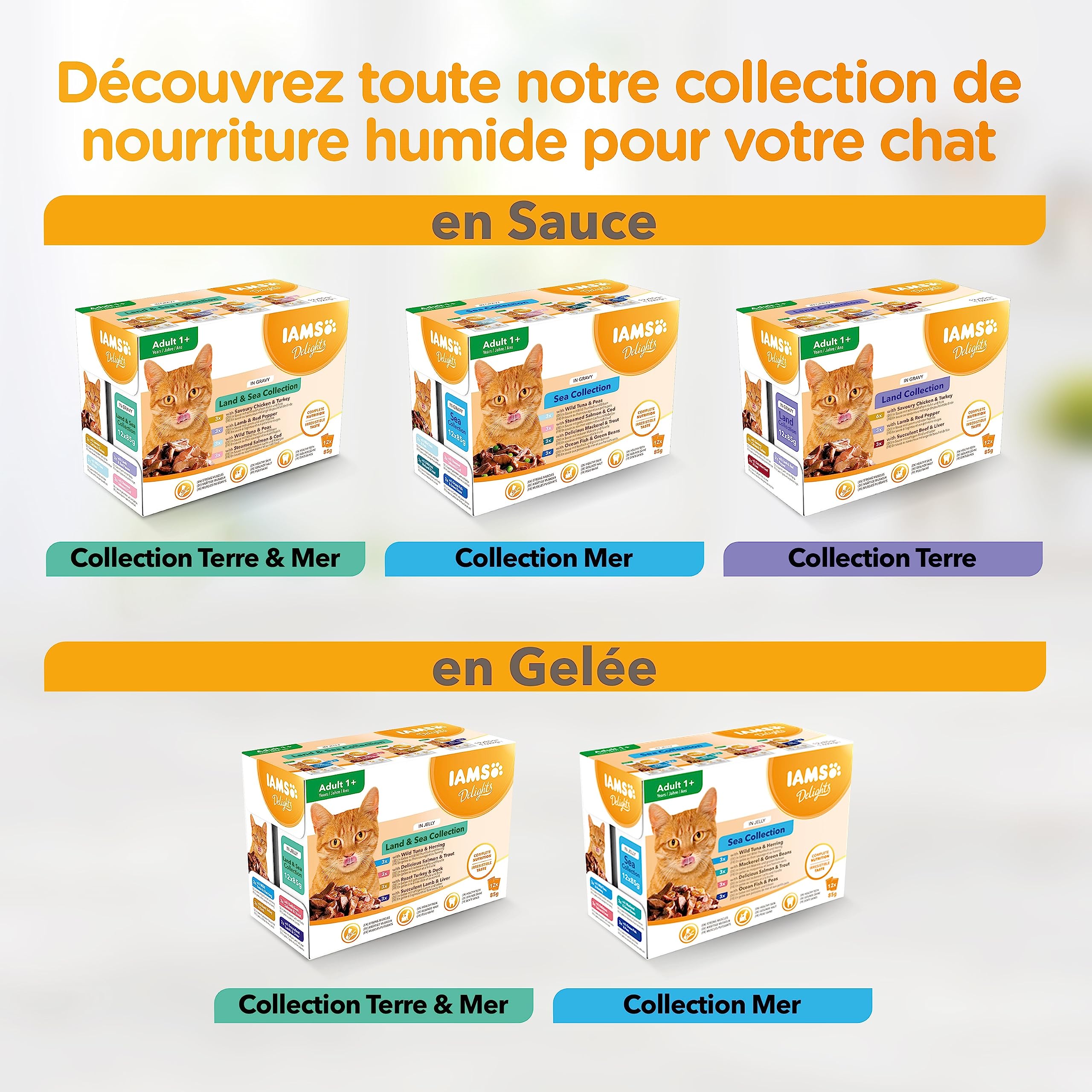 IAMS Chat Adulte Nourriture Humide en gelée Terre&Mer Land&Sea Collection 12 sachets x 85g