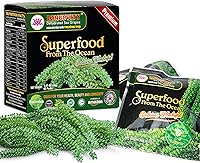 LONGEVITY Dehydrated Sea Grapes (Pack of 2, 1.4oz) - Umibudo Green Caviar Lato Seaweed for Immunity, Health & Longevity Boost