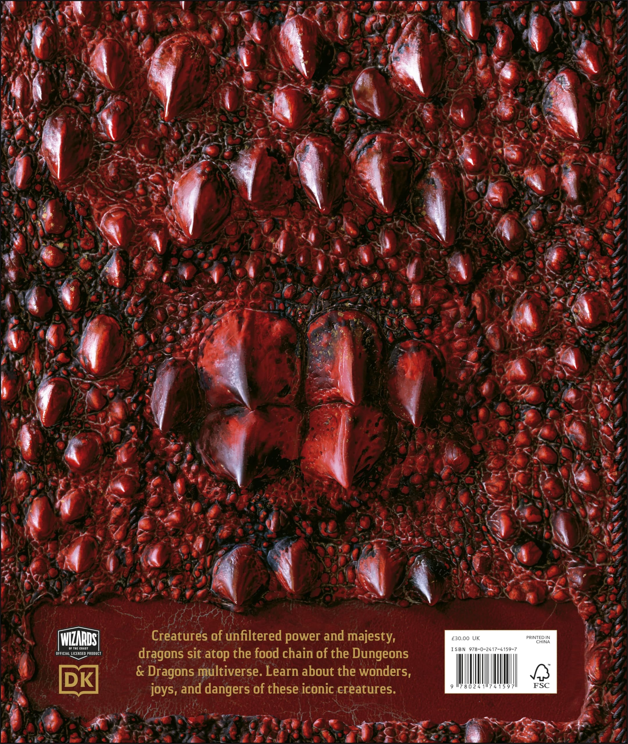 Dungeons & Dragons The Book of Dragons