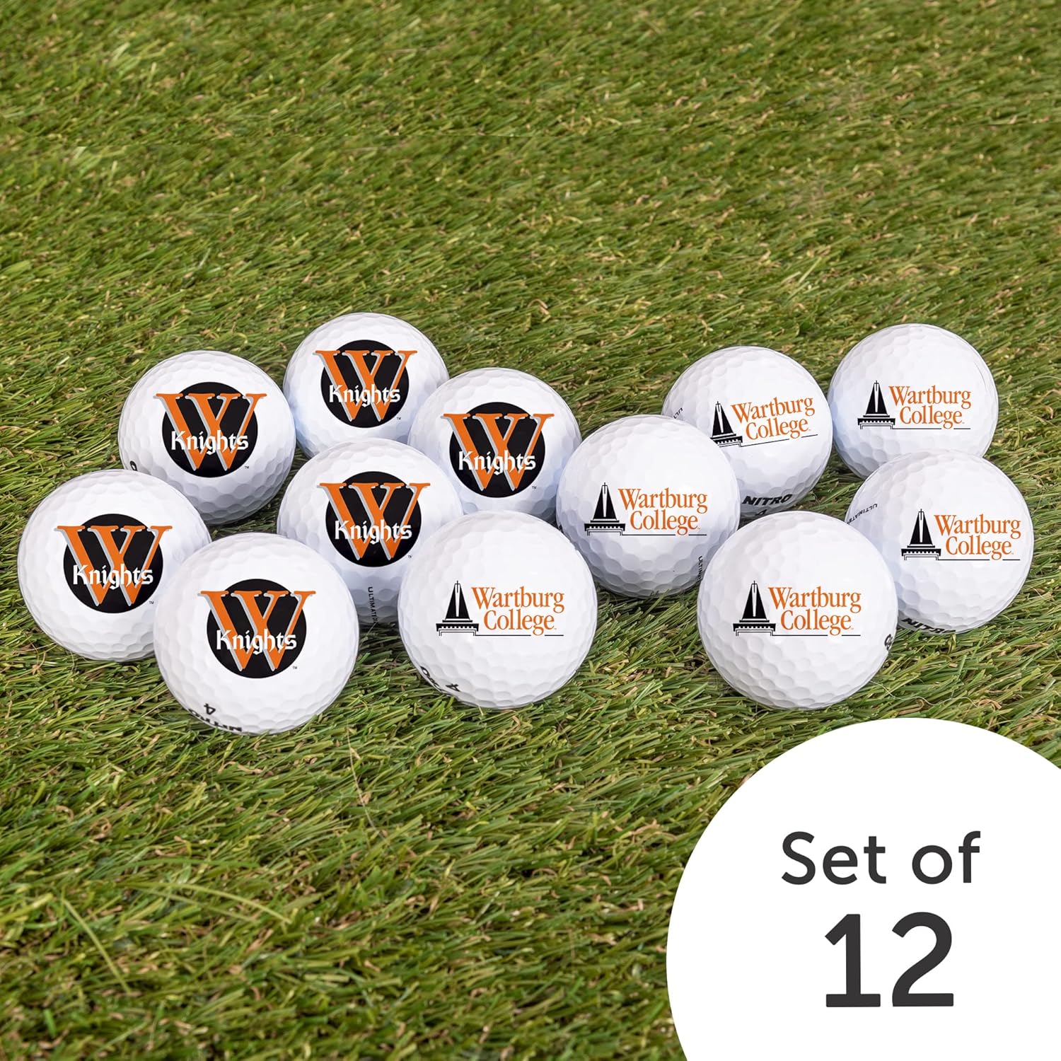 Desert Cactus Wartburg College Golf Balls 12 Pack – Wartburg Knights Full Color Dozen – Officially Licensed Sport Team Accessory