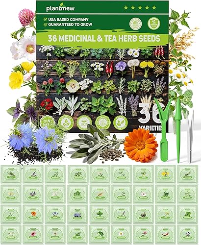 Miniatura 10 de Paquete variado de semillas de hierbas medicinales – 36 semillas de jardín de té de hierbas no transgénicos: manzanilla, lavanda, equinácea