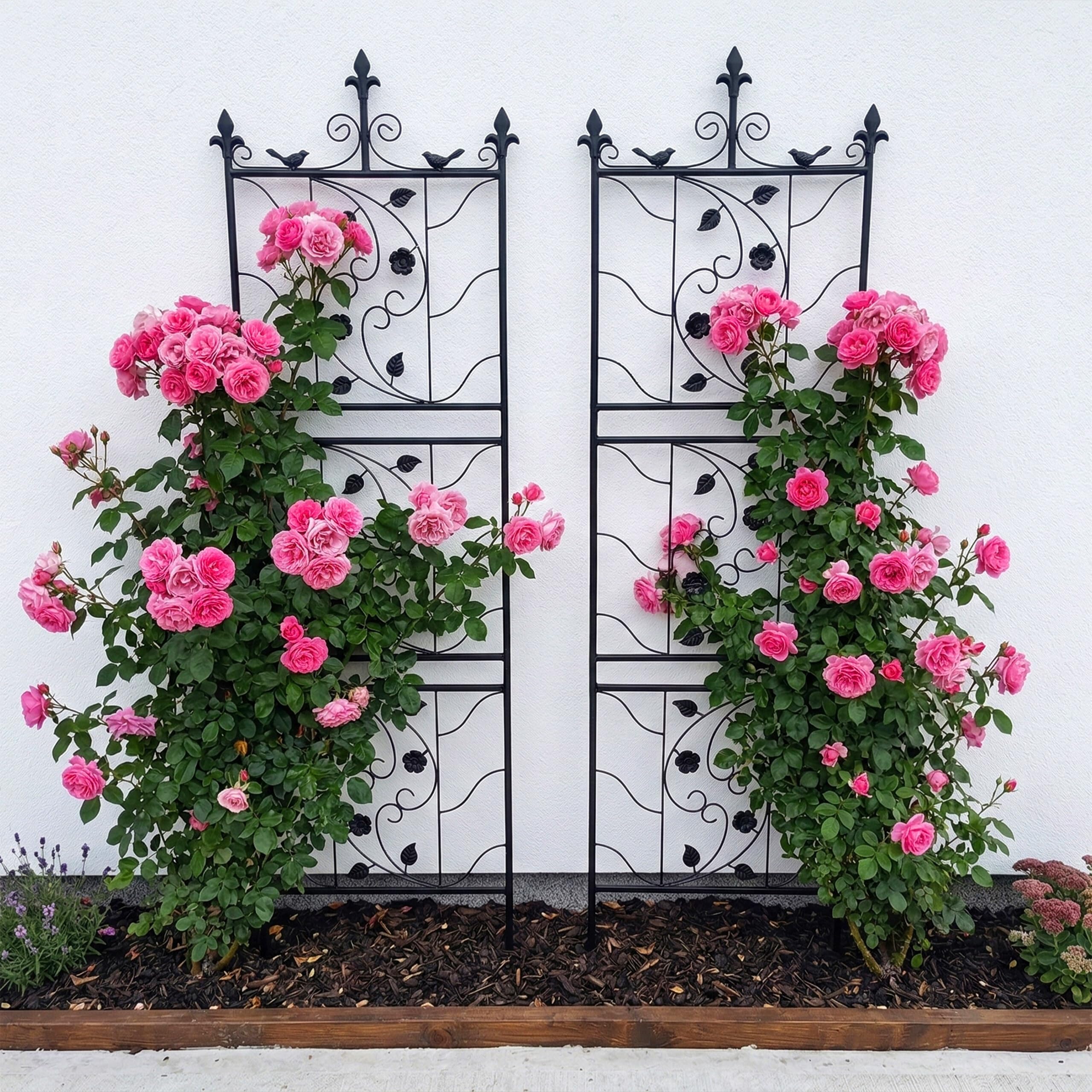 Relaxdays Rejillas para Enredaderas, Soporte metálico 172x50 cm, para Plantas trepadoras y Rosales, Negro