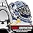 Franklin Sports 7784F14 NHL Mini Goalie Mask,Toronto Maple Leafs