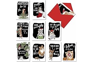 10 Assorted NobleWorks Christmas Greeting Cards with Envelopes AC3459XSG-B1x10