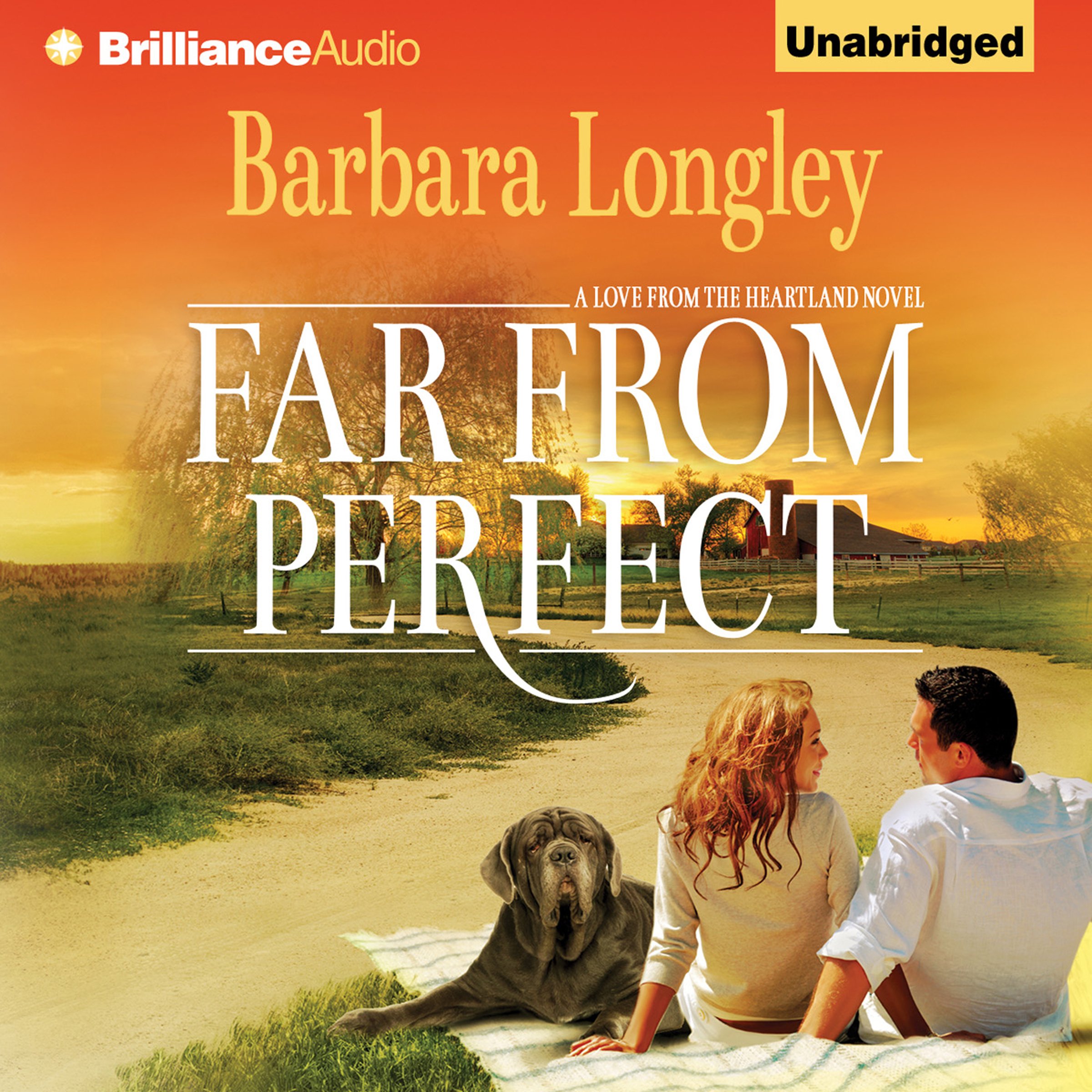 Cover art for Far from Perfect