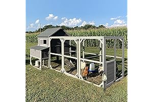 Gutinneen Spacious Chicken Coop for 10 Chickens