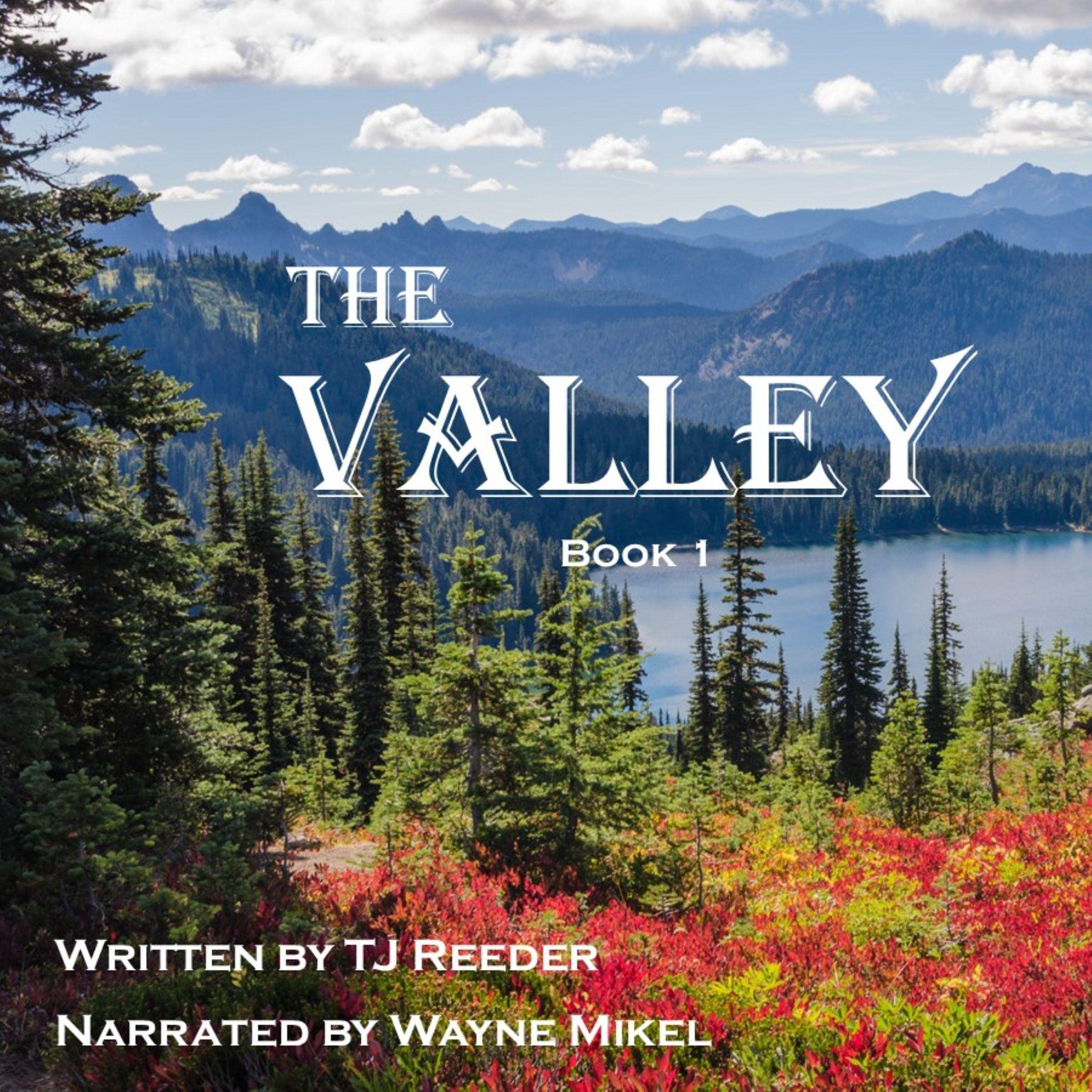 Cover art for The Valley: Book 1