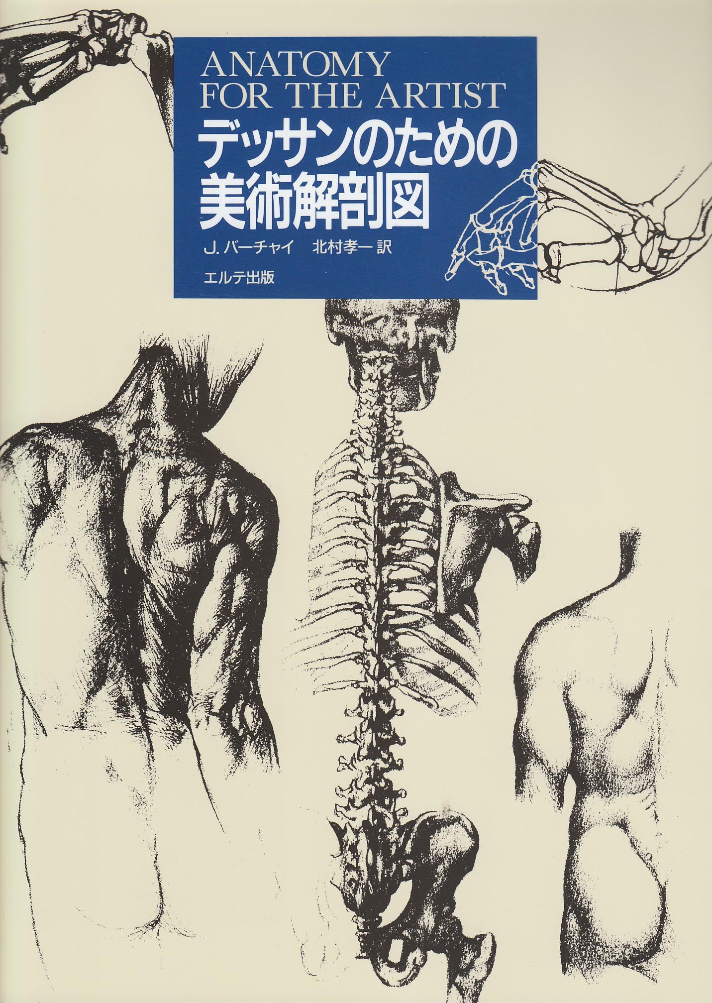 デッサンのための美術解剖図 | イエヌ バーチャイ, Barcsay,Jeno, 孝一 