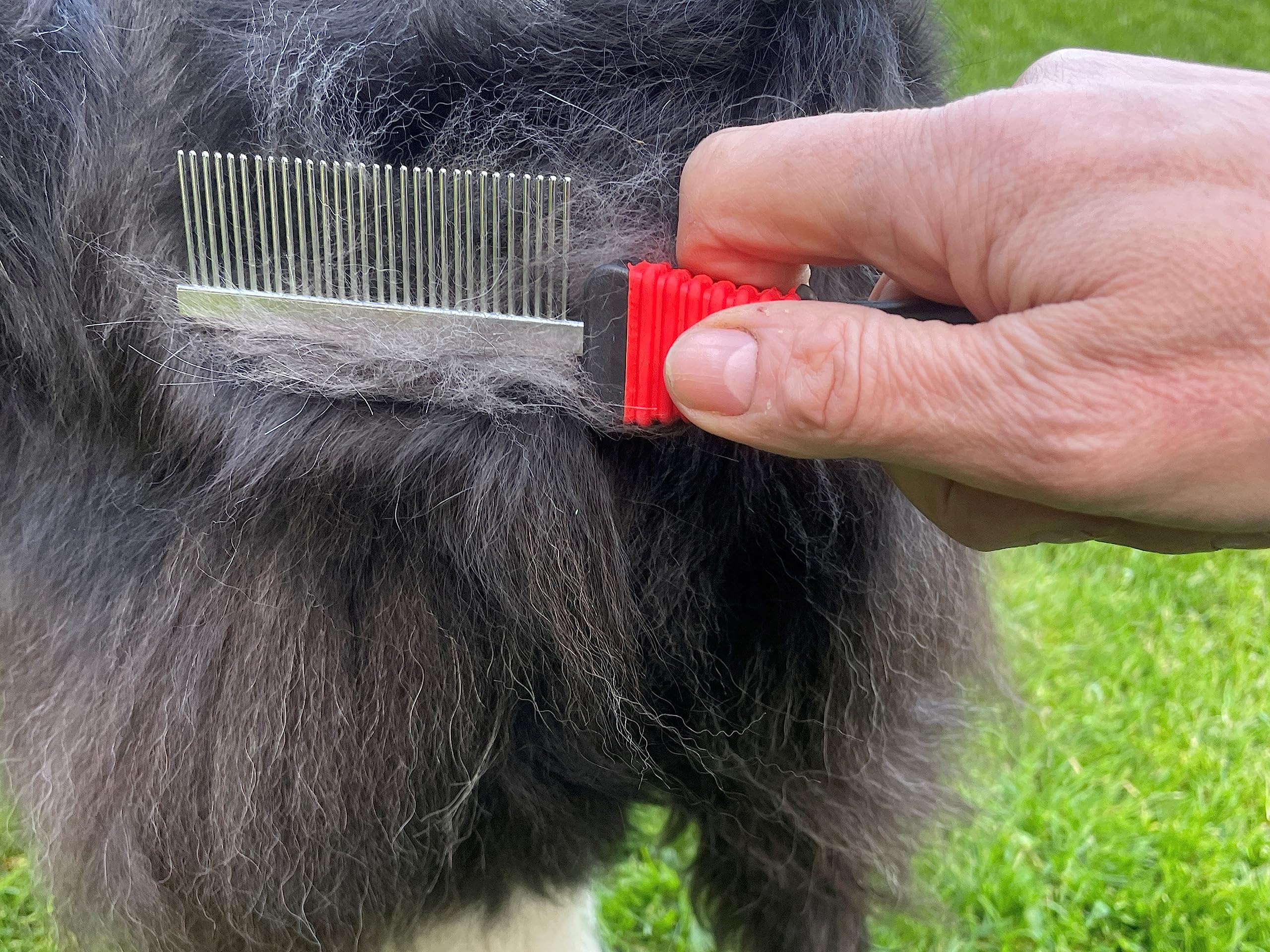 Masterclip Essentials Ensemble de toilettage pour chiens et chats – Contient 8 accessoires de toilettage quotidiens ; peigne démêlant, coupe-ongles, lime à griffes, brosses et peigne double face, gant
