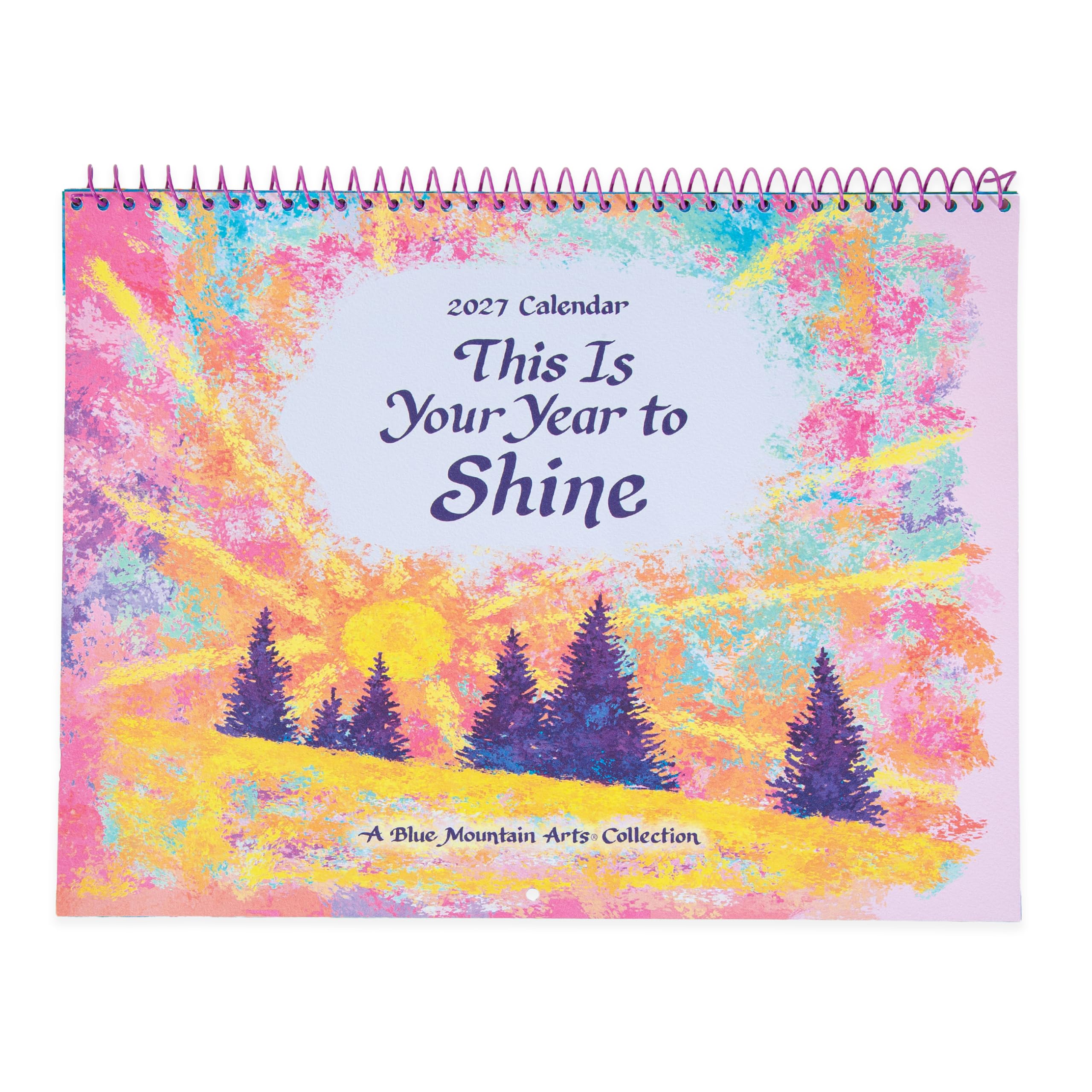 This is Your Year to Shine A4 Calendar 2027, Wall Calendars, Month To View, Gift