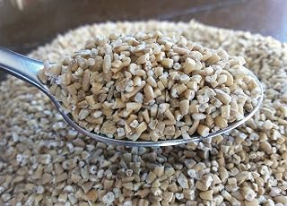 BULK GRAINS GRN OAT STEEL CUT, 50 LB