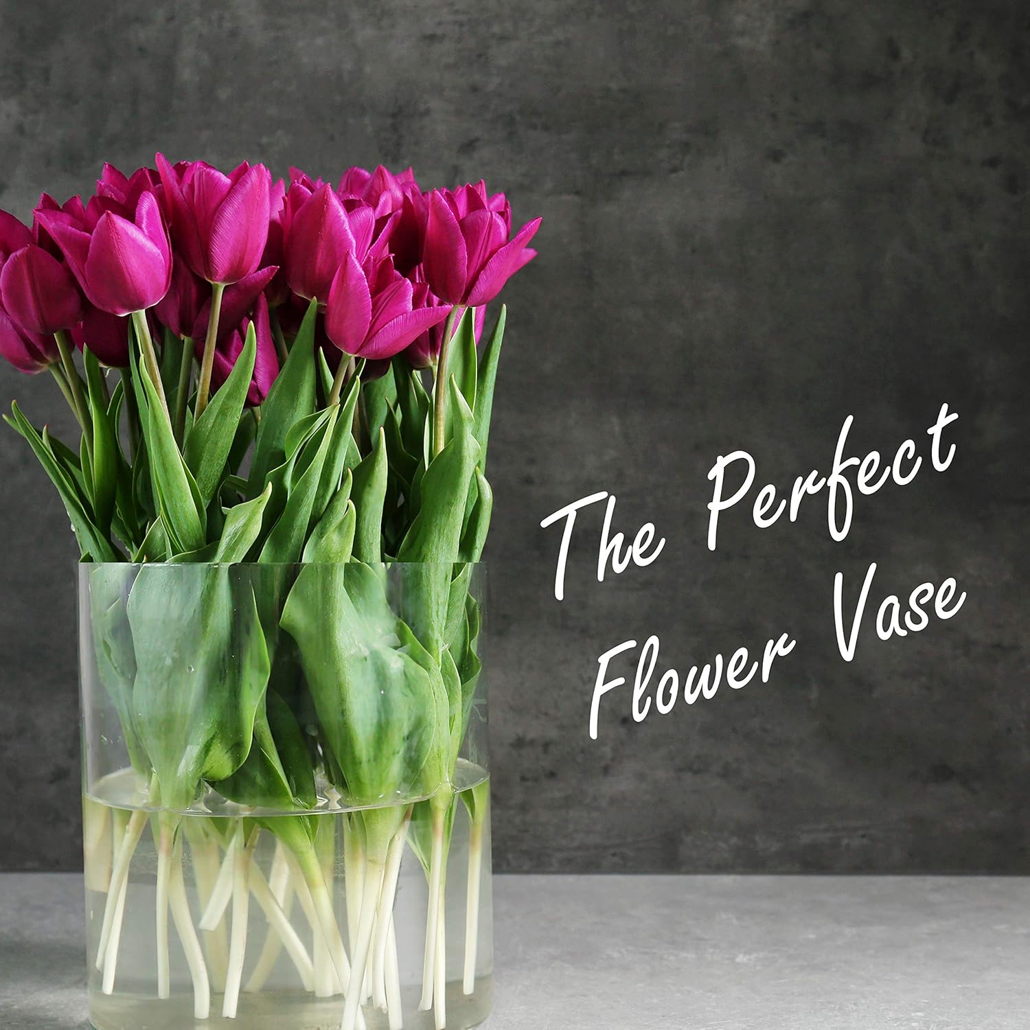 CYS Excel Glass Cylinder Flower Vase (H:8" D:8") Flower Vase Centerpieces Hurricane Floating Pillar Candle Holder Terrarium Planter