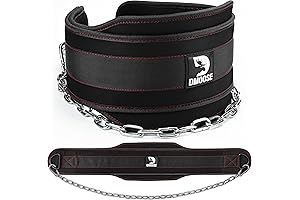 Rogue Fitness 2-Ply Nylon Lifting Belt with 10mm Hebilla Buckle