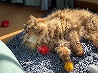 Vista 5 de RIMOBUL Pelotas para gatos, 20 unidades, juguetes de colores surtidos para gatos de interior, gatitos, bolas brillantes, juguete favorito del gato