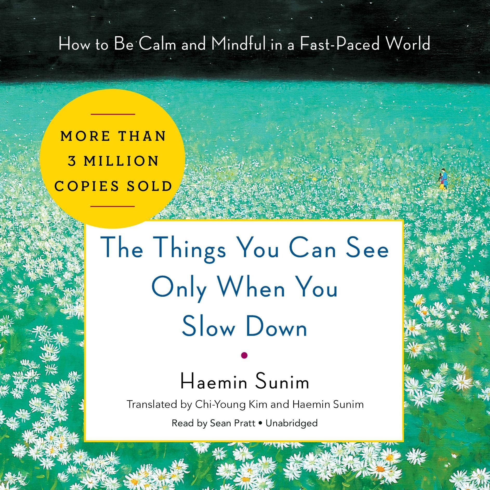 Cover art for The Things You Can See Only When You Slow Down