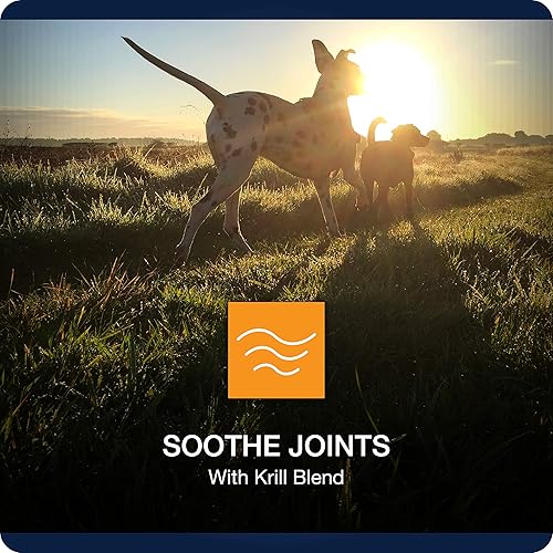 Miniatura 5 de VetIQ - Suplemento para cadera y articulaciones, para perros, masticables suaves con sabor a pollo, 90 unidades