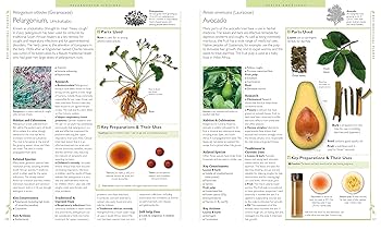 the Encyclopedia of Medicinal Plants  洋書 $_12.JPG?set_id=880000500F