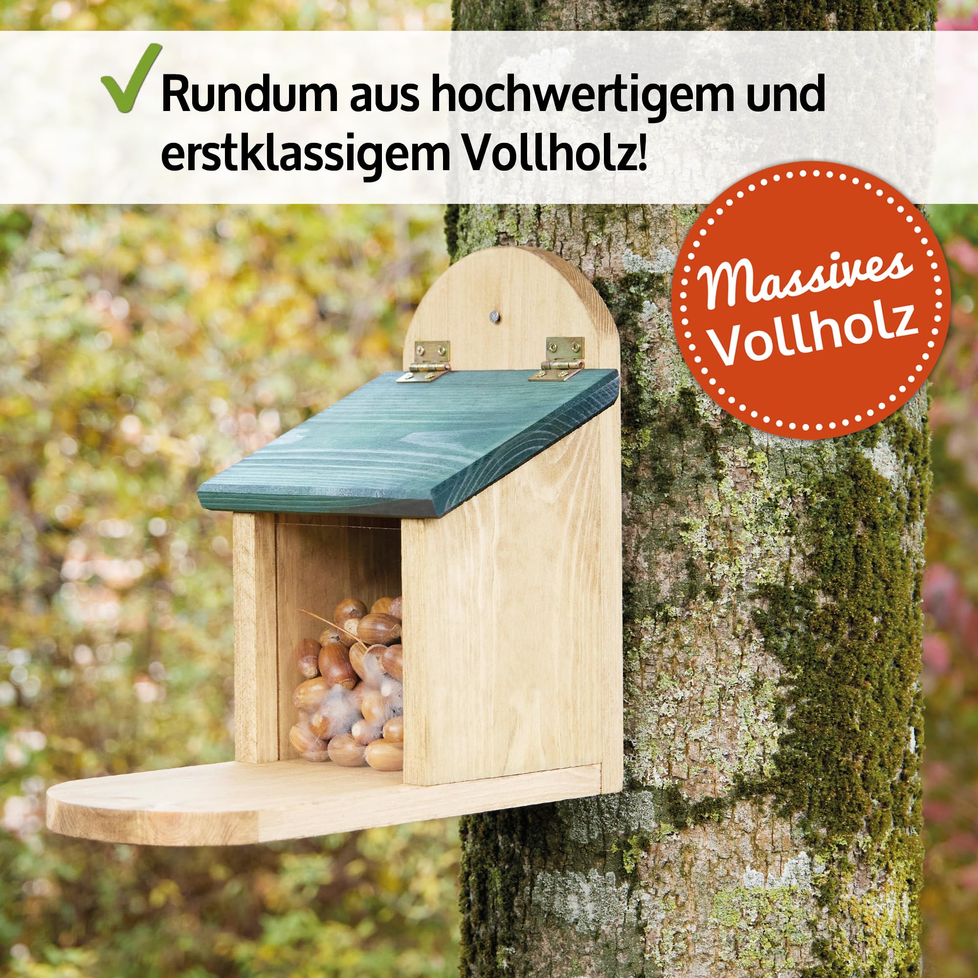 Postkarte – Chipseichhörnchen, image size:2000x2000