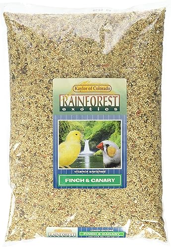 Rainforest Exotics Canary & Finch - Alimento para pájaros, bolsa de 4 libras, mezcla de semillas para canarios y pinzones