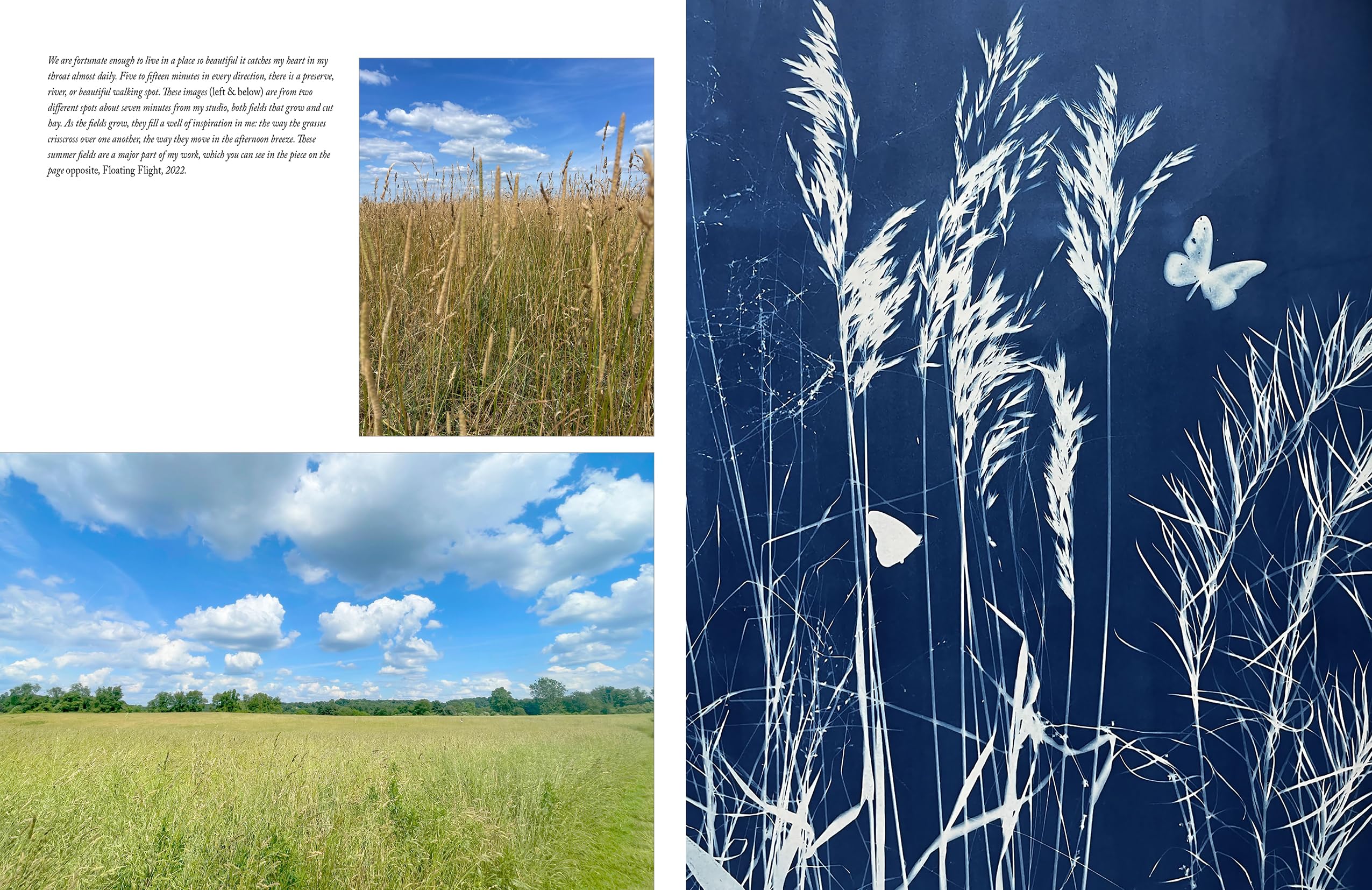 Botanical Cyanotype: A Guide to the Art of Sun Printing