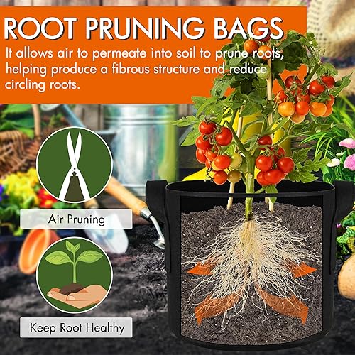 Miniatura 3 de Gardzen Paquete de 10 macetas de 3 galones con parte inferior desmontable, evita golpes de trasplante, macetas de tela de aireación con asas