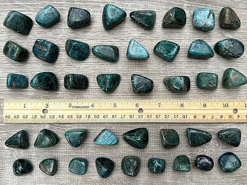 Miniatura 191 de GAF TREASURES Piedras pulidas de ojo de tigre de 1/2 libra, piedra preciosa natural pulida, cristales curativos de ojo de tigre (ojo de tigre)