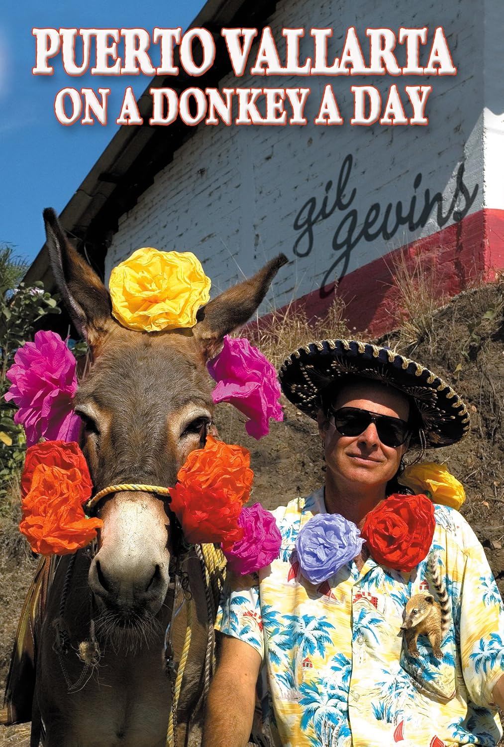 Puerto Vallarta On A Donkey A Day (Puerto Vallarta On 49 Brain Cells A