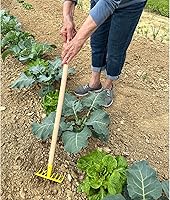 Vista 26 de Tierra Garden RP40150 - Azada infantil de 31 pulgadas, color rojo