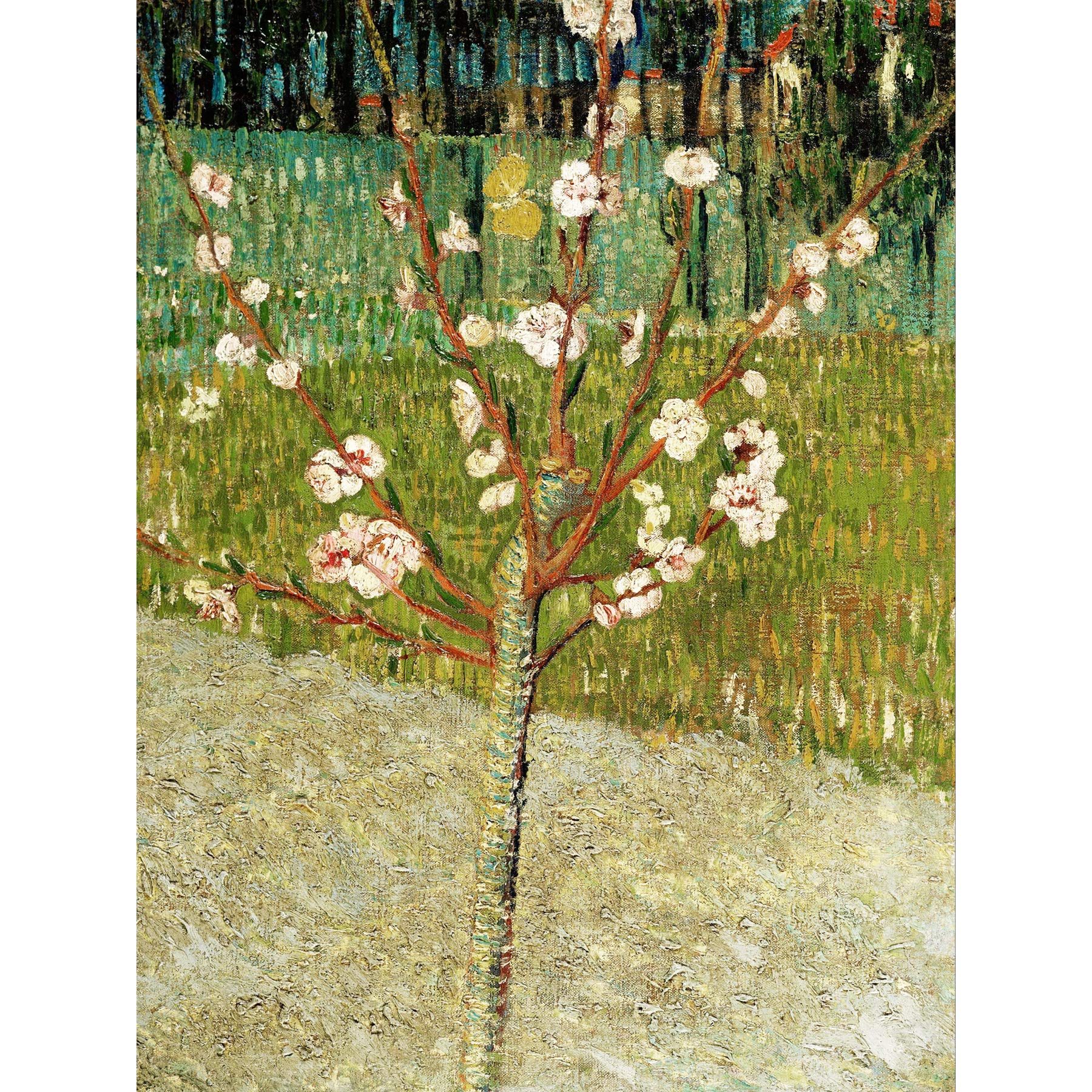 Vincent Van Gogh Almond Tree In Blossom Large Wall Art Print Canvas Premium Poster Mural