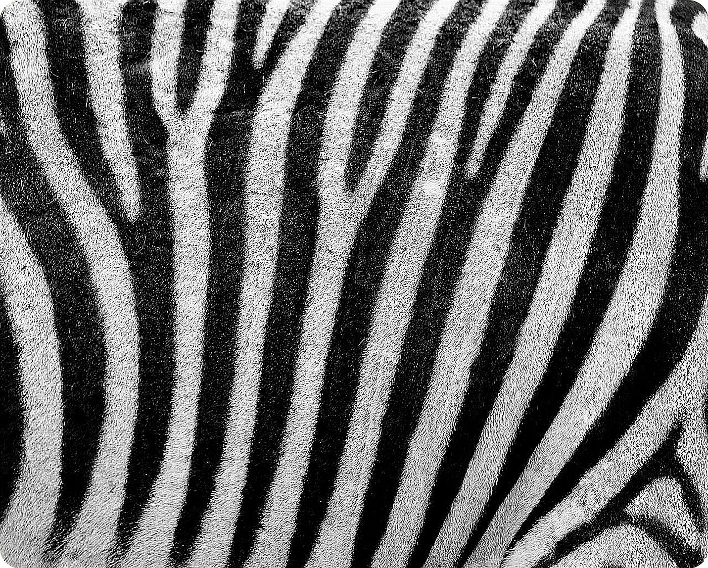 Pearl Glass Black, White Large Glass Worktop Saver - Zebra Pattern - 50 X 40Cm