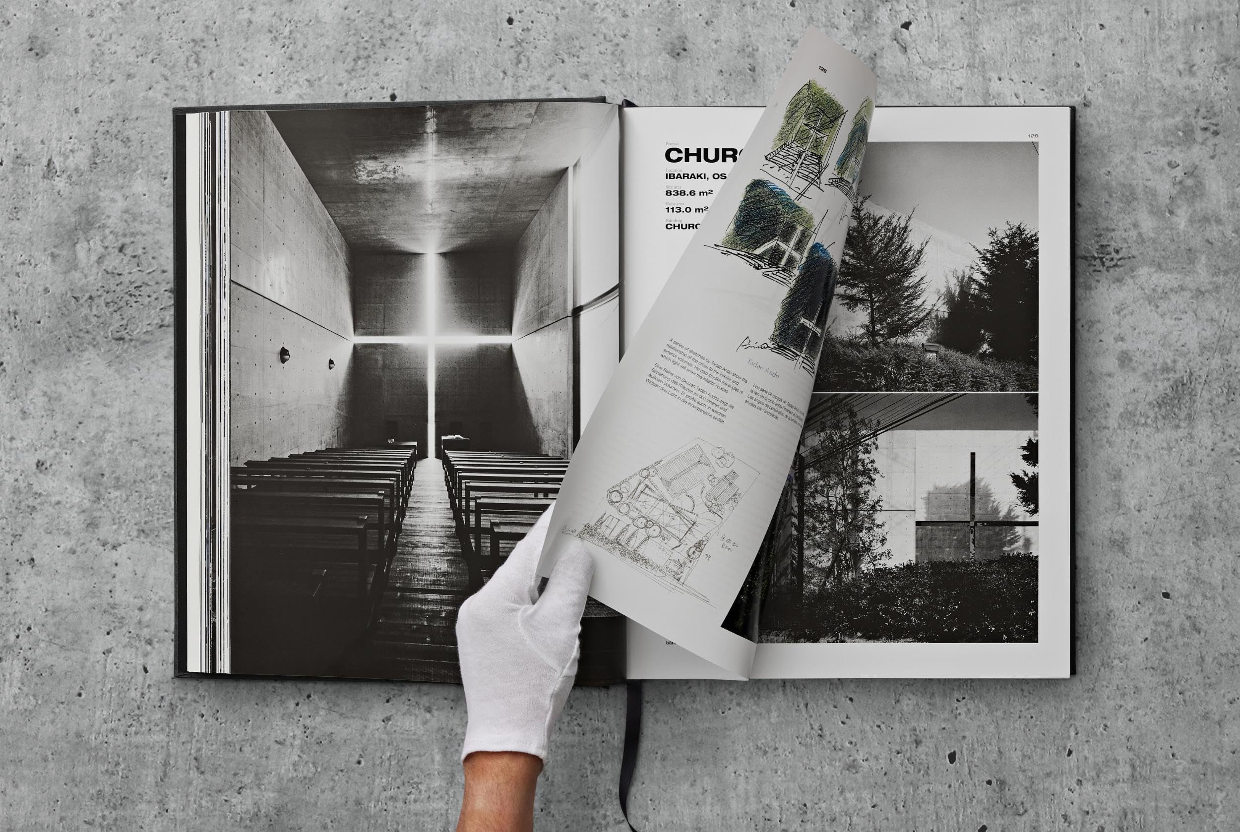 Ando. Complete Works 1975–Today. 2023 Edition