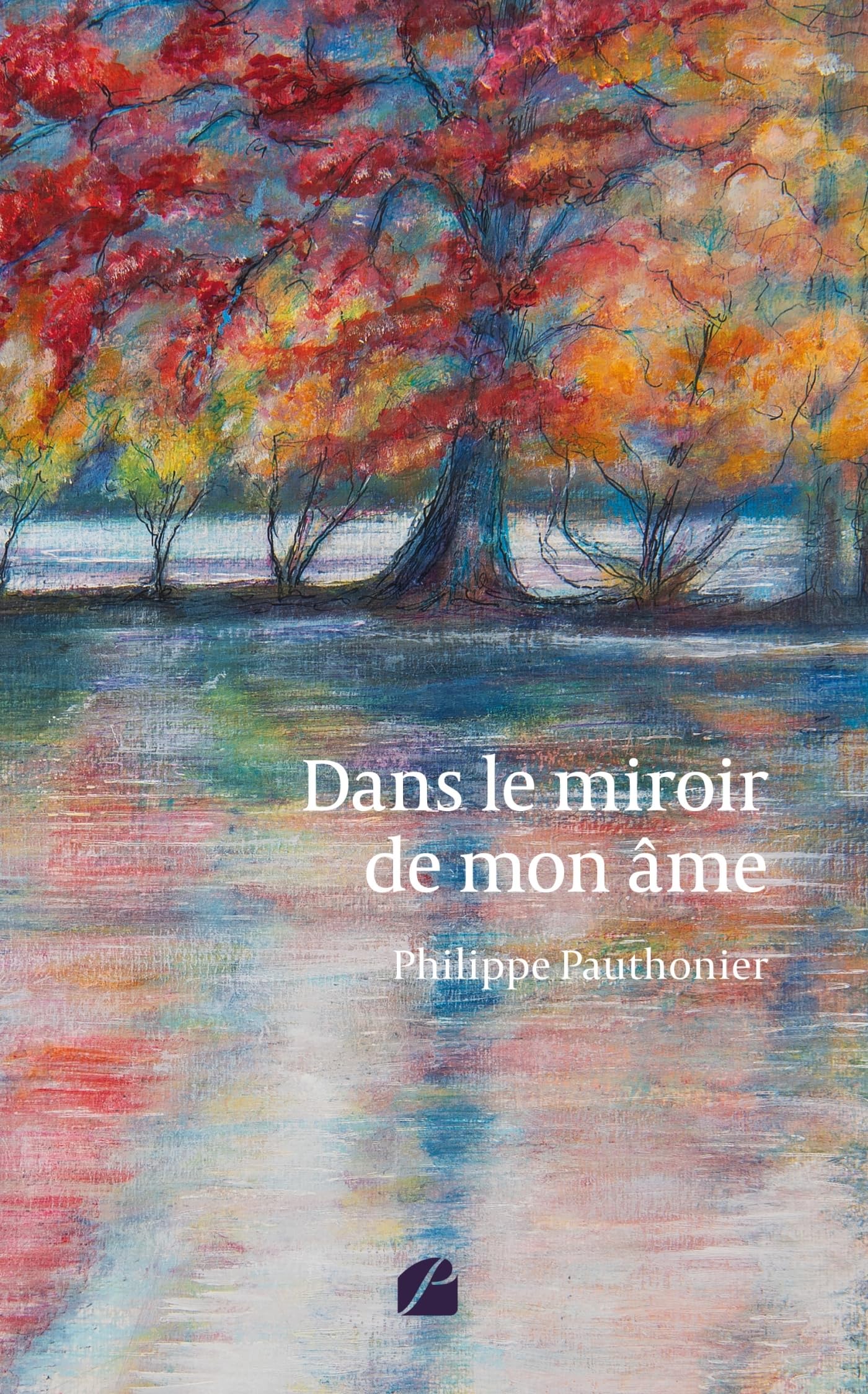 Dans le miroir de mon âme