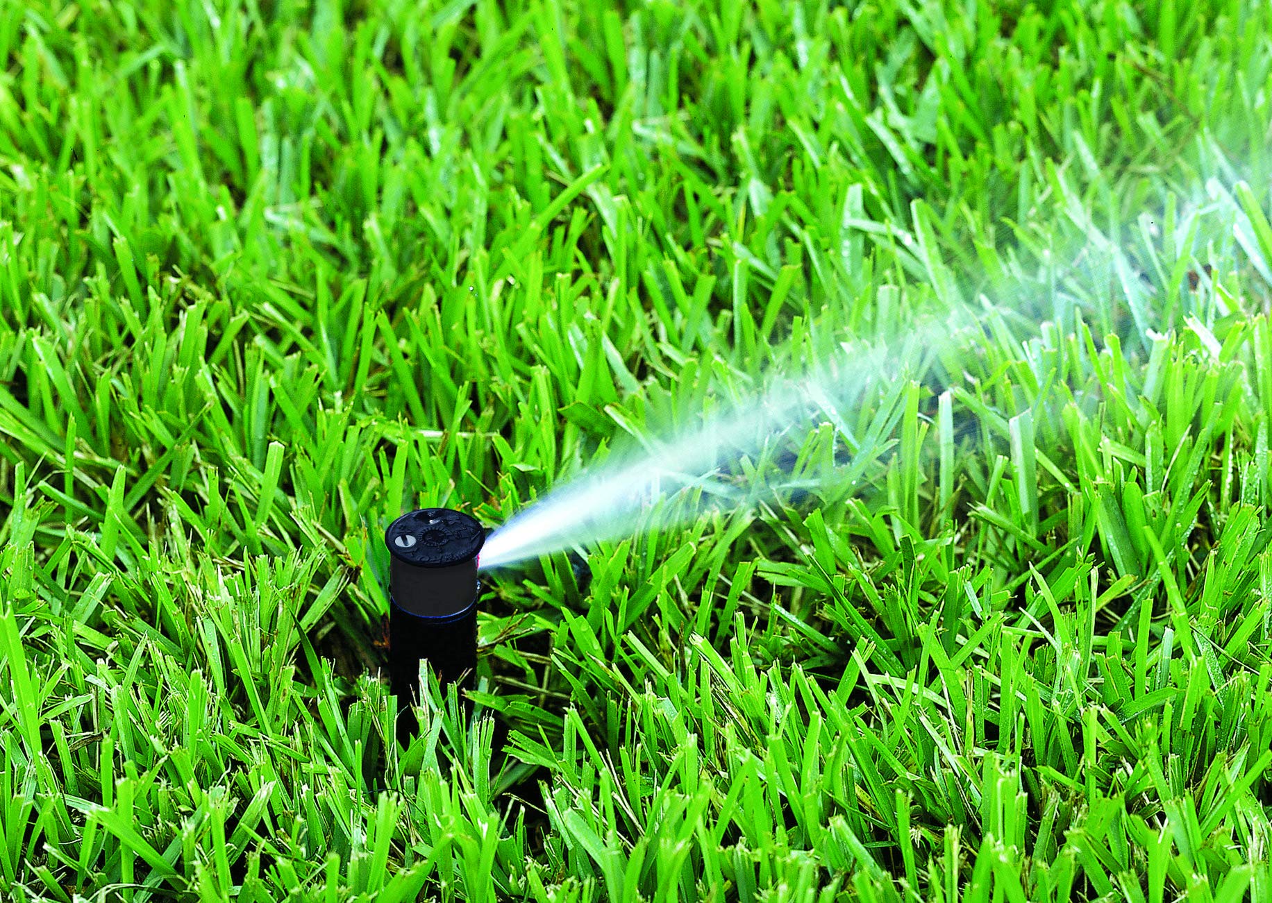 5 x Irrigatore a Turbina Pop-Up 1/2" MINI-PRO Rain Con 20 Ugelli Di Ricambio In Omaggio| Regolabile sino a 360°|Copertura In Gomma|Ampia Compatibilità Di Testine| Meccanismo Anti-Inceppamento
