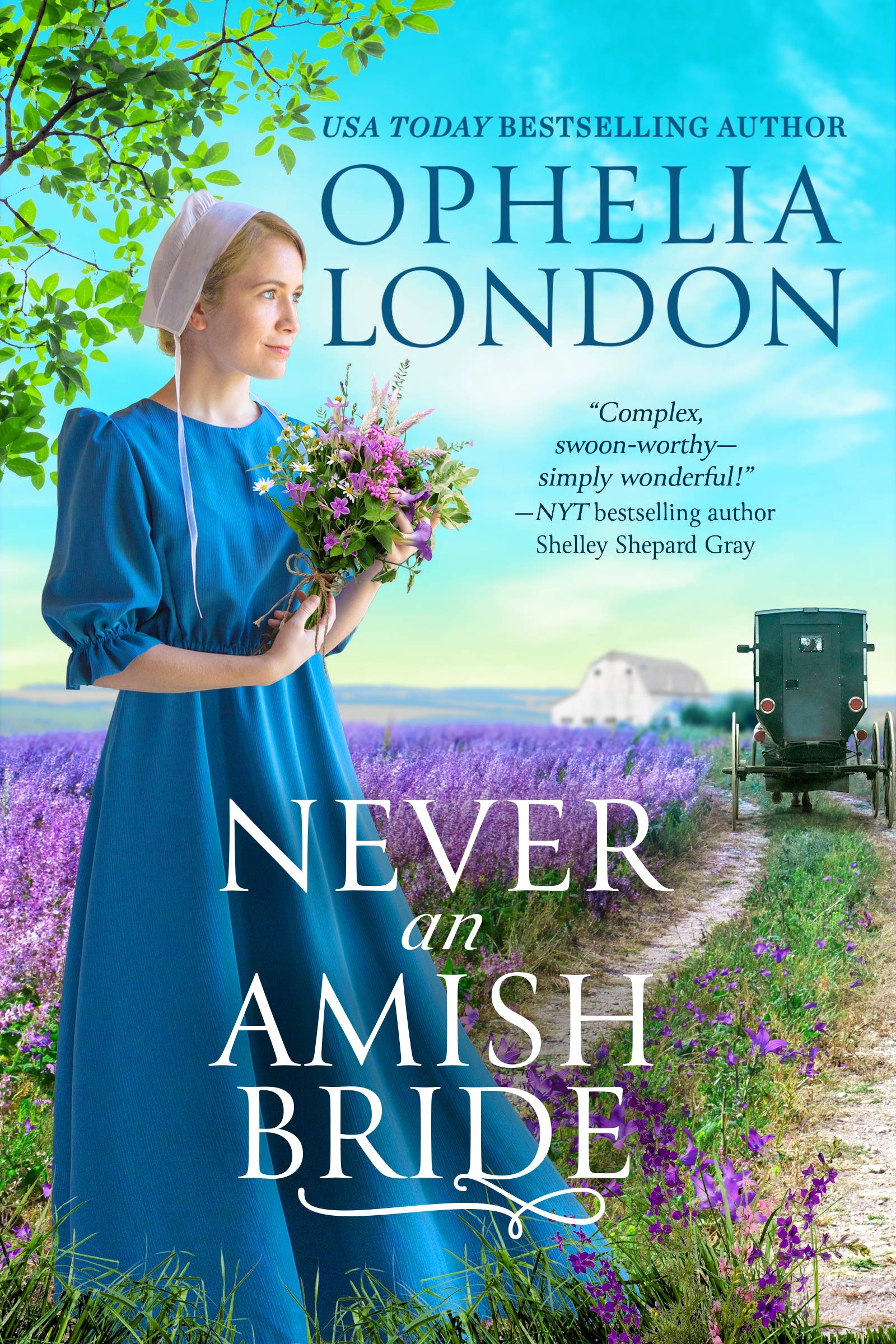 Buy Never an Amish Bride — BookShops.in
