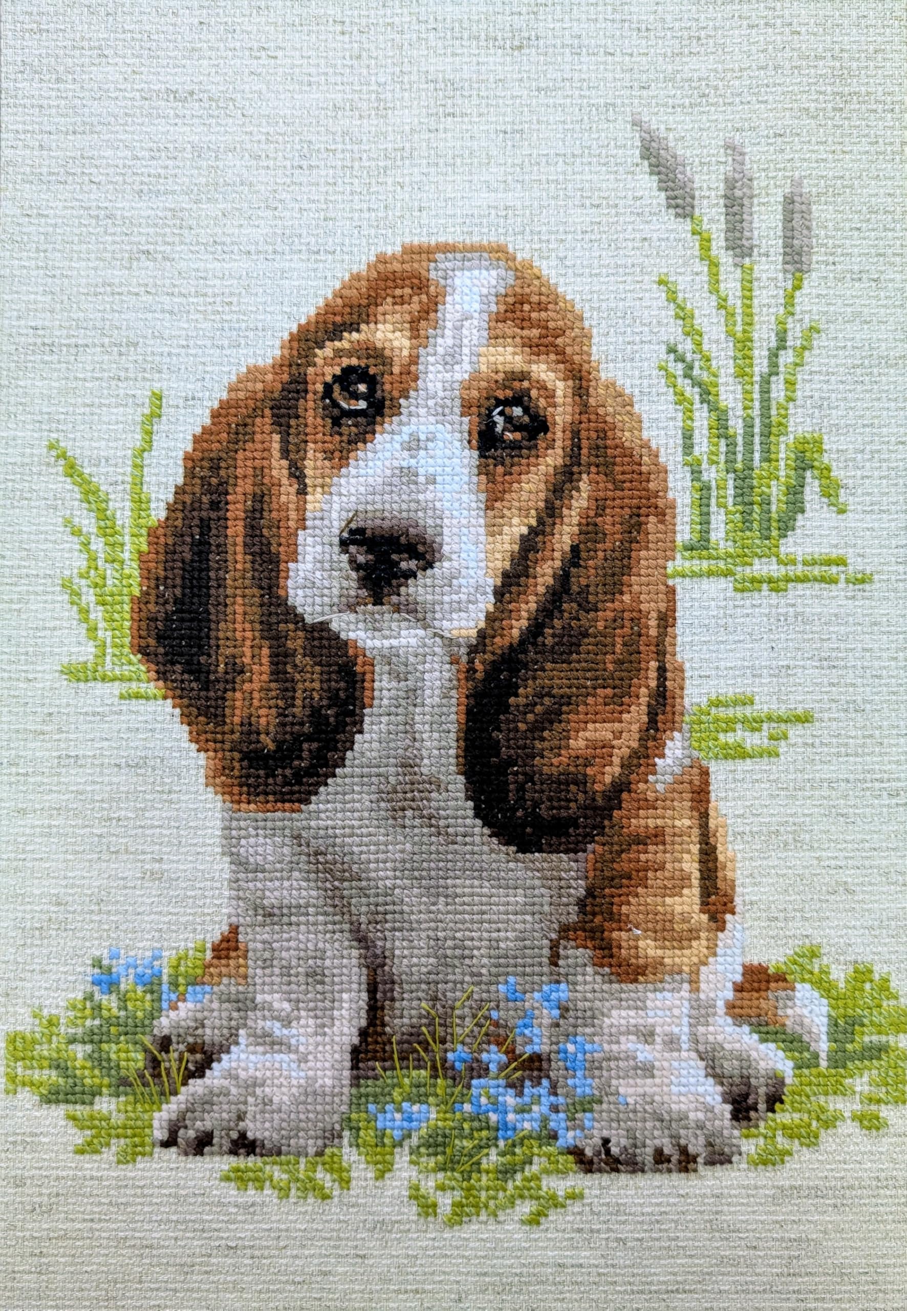 RIOLIS Cross Stitch Kit - 1578 - Basset Hound Puppy