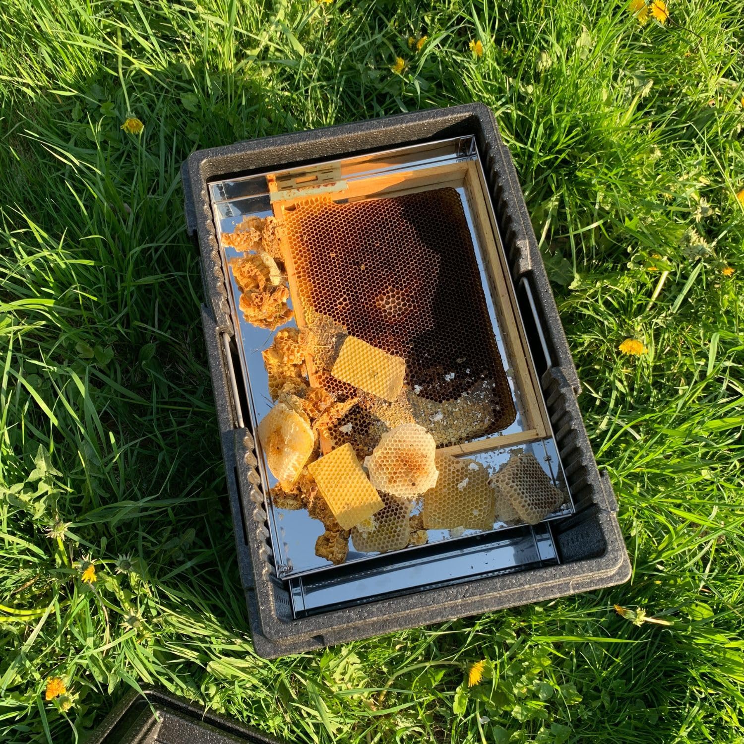 LYSON Fondeur de cire solaire EPP pour faire fondre la cire d'abeille - Cadre : D, LN-am, DNM, sandre - Dimensions intérieures du bac : 485 mm x 300 mm x 50 mm (L x l x H)