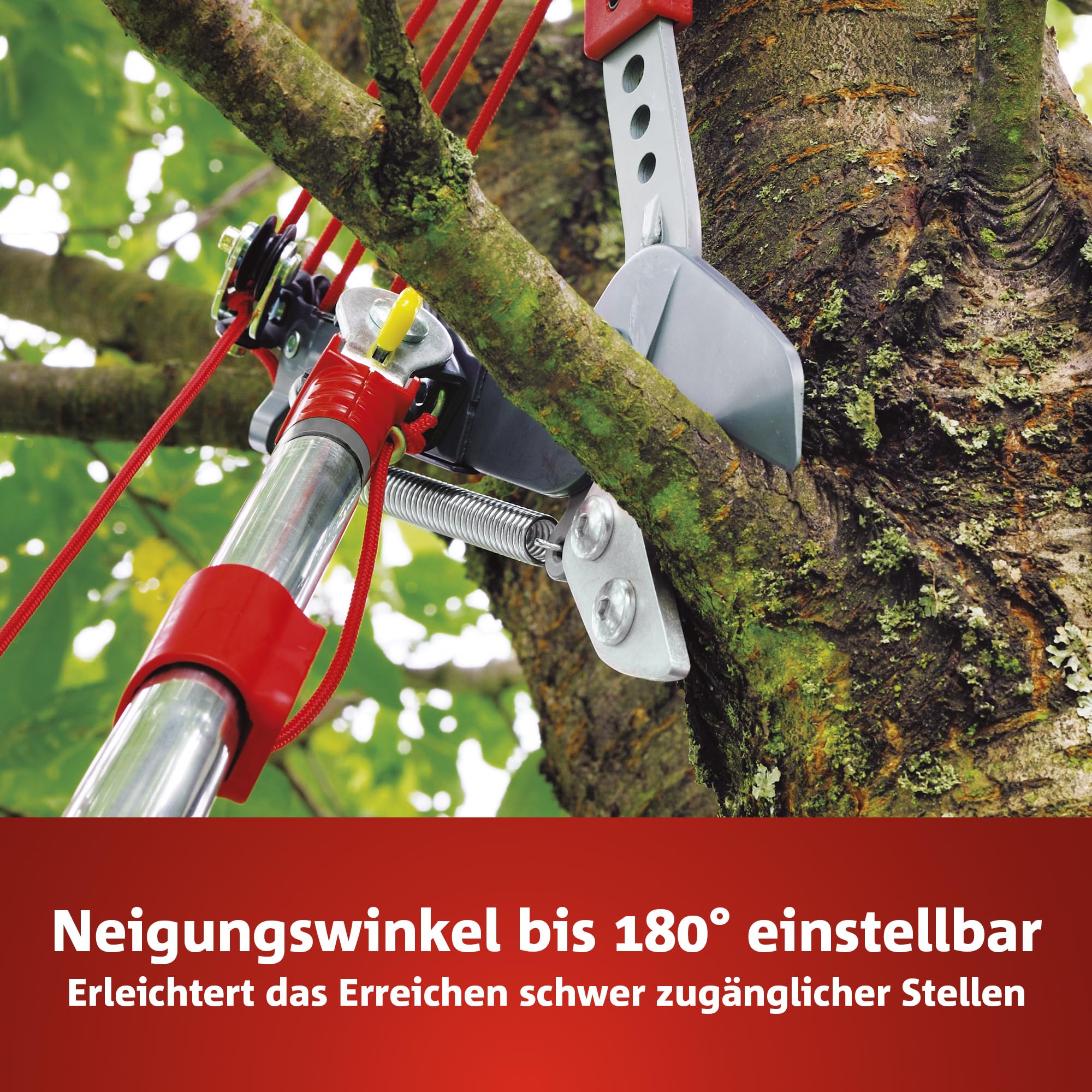 WOLF-Garten multi-star Amboss Profi Baumschere RC-VM 40mm Ø