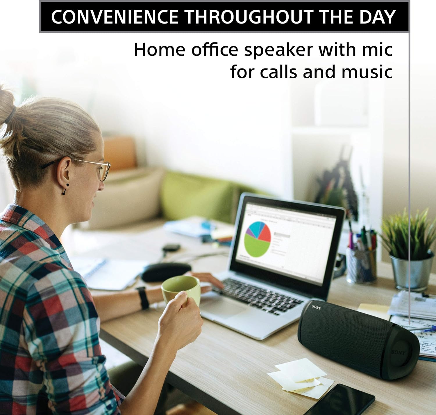 Sony SRS-XB43 EXTRA BASS Wireless Portable Speaker IP67 Waterproof BLUETOOTH 24 Hour Battery and Built In Mic for Phone Calls,XB33/43 Black : Electronics