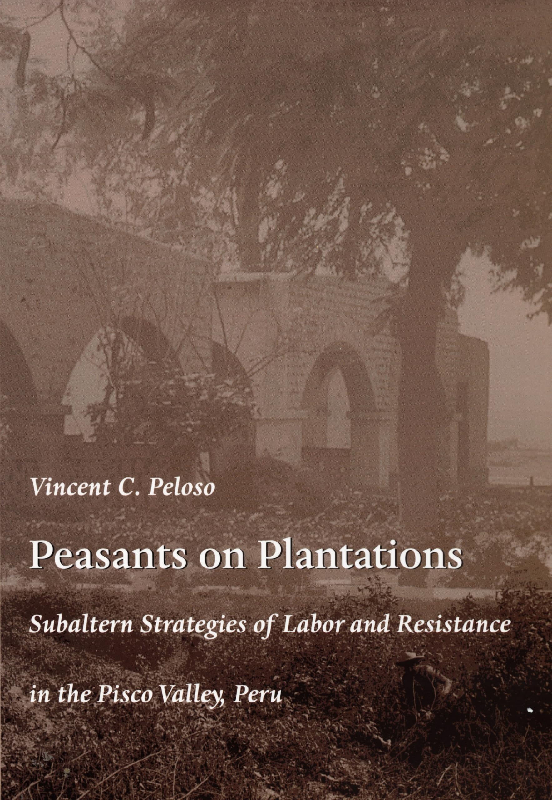 Peasants on Plantations: Subaltern Strategies of Labor and Resistance in the Pisco Valley, Peru (Latin America Otherwise)