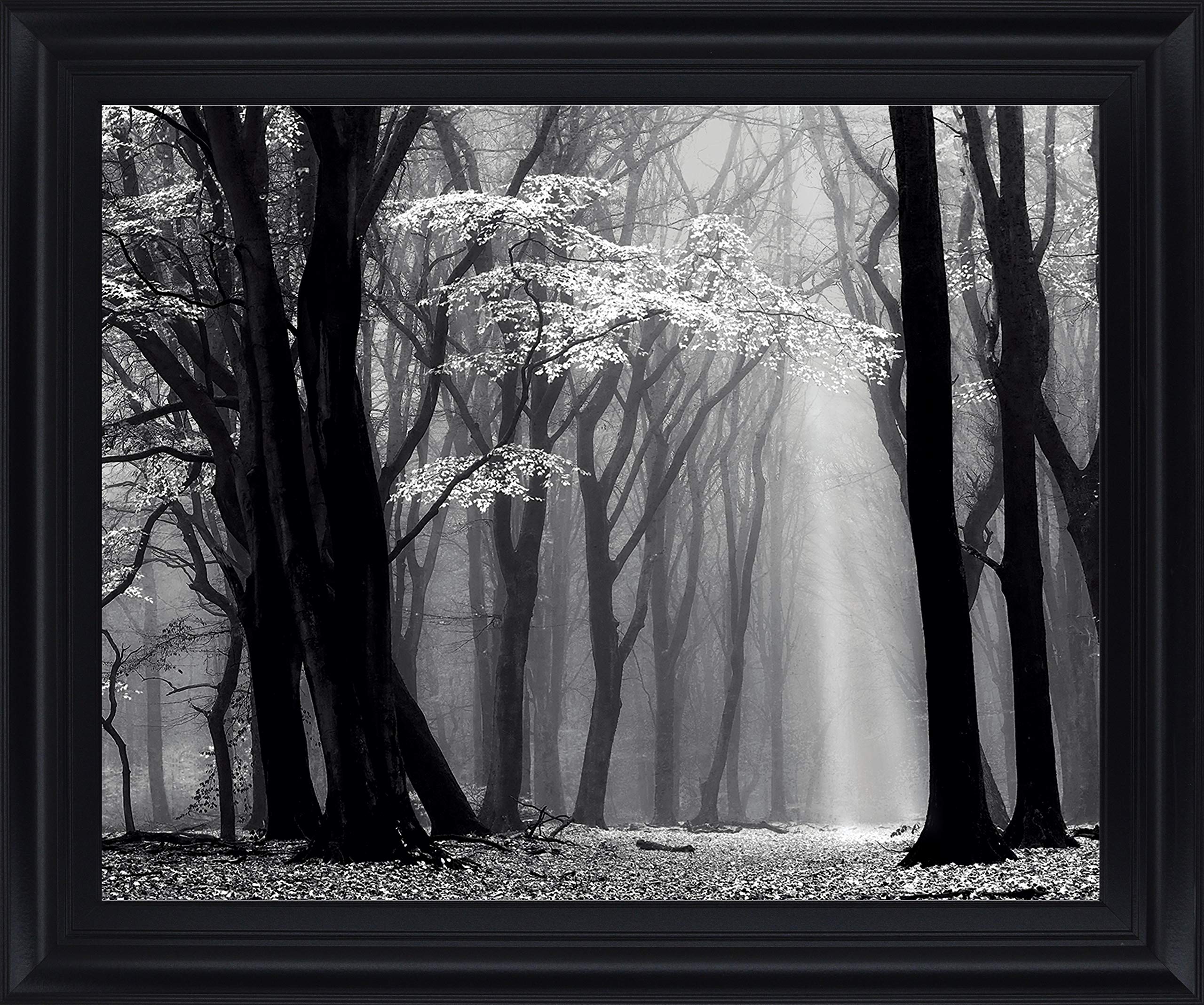 28 in. x 34 in. "Winter Is Coming" By Lars Van De Goor Framed Print Wall Art
