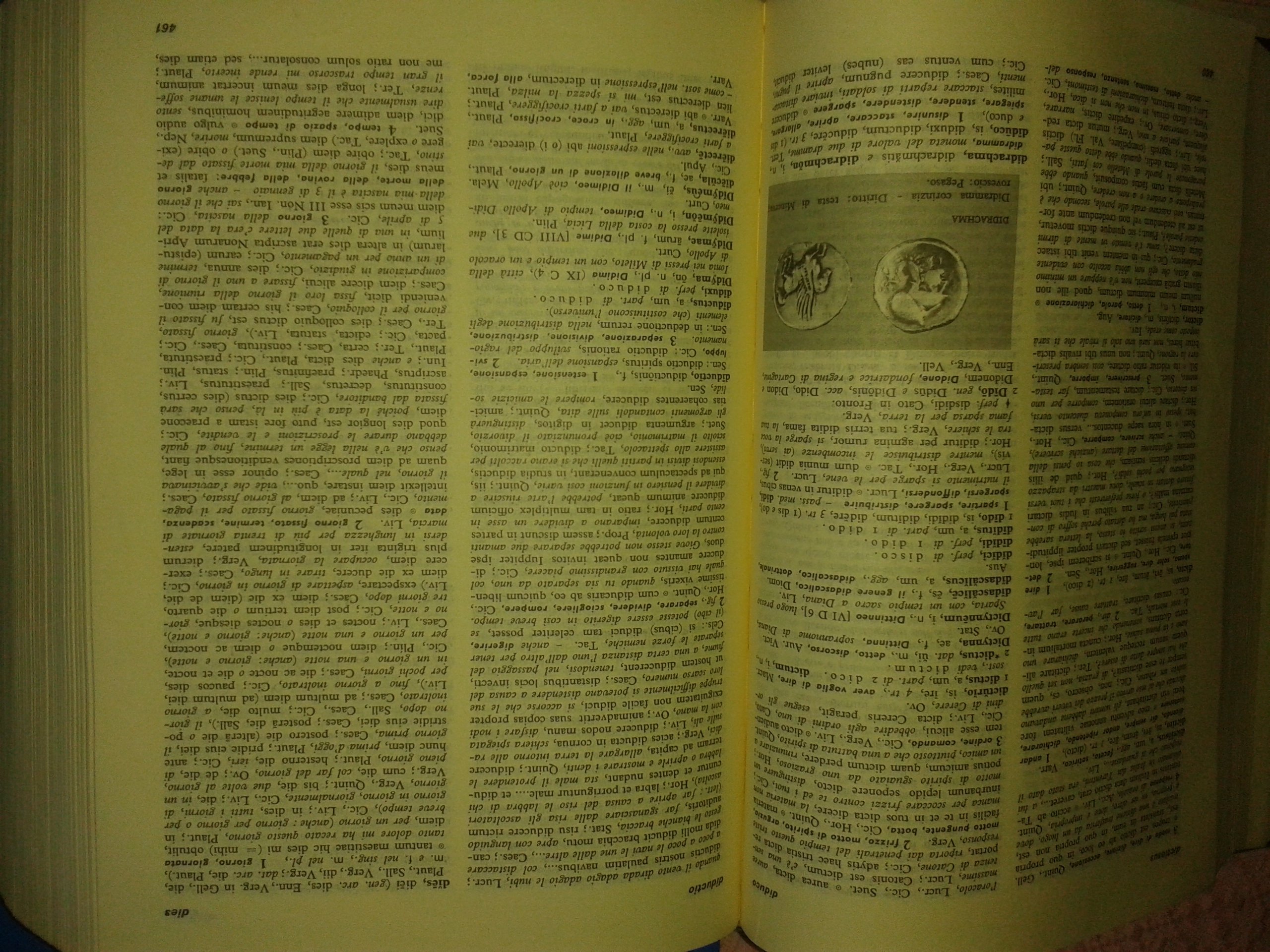 Dizionario illustrato della lingua latina