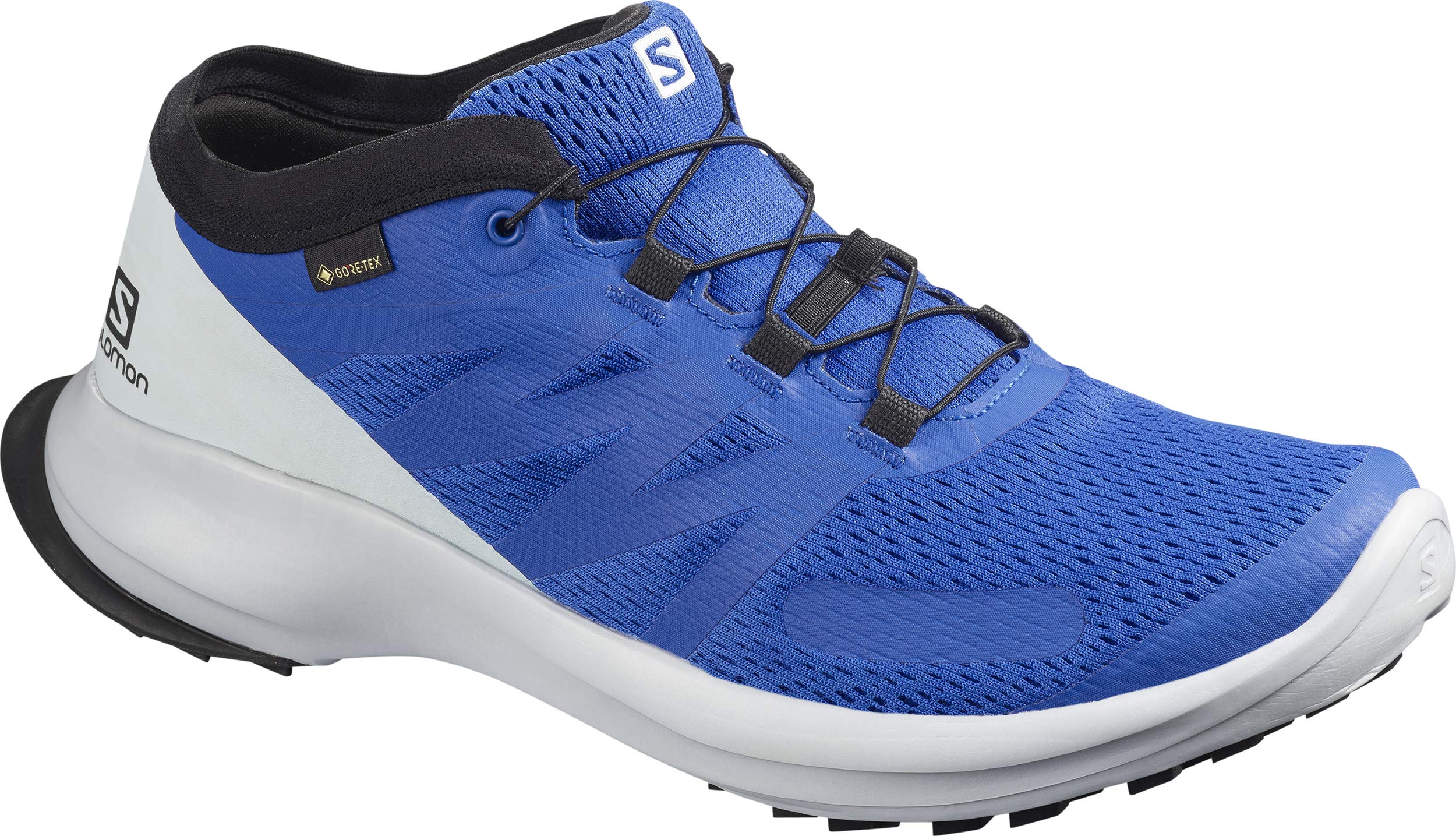 SALOMON Shoes Sense Flow GTX, Zapatillas de Running Hombre