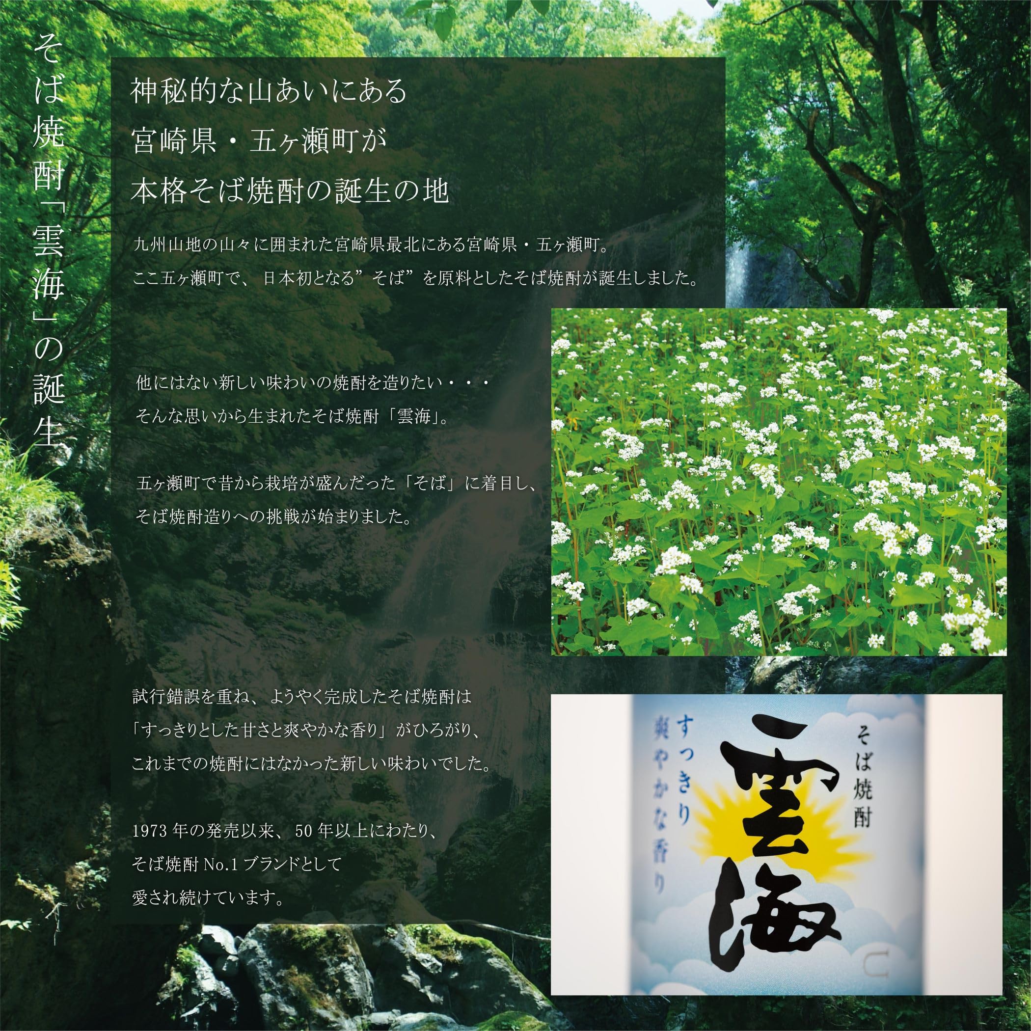 Amazon.co.jp: 雲海酒造 そば雲海 パック [ 焼酎 25度 宮崎県 1800ml