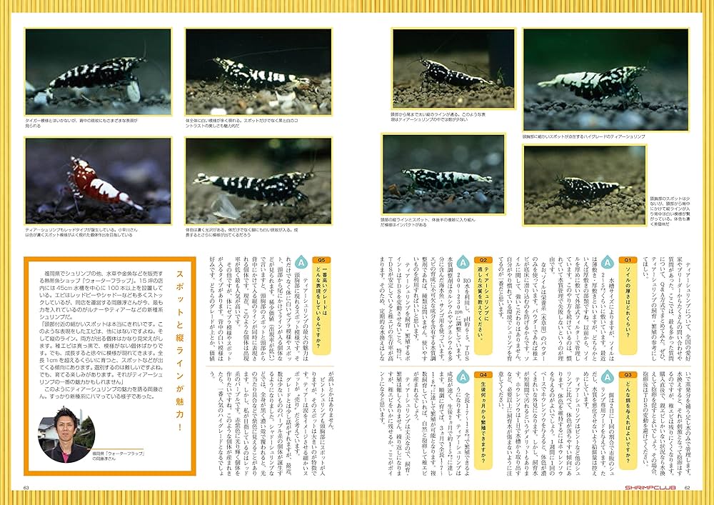 シュリンプクラブ 全号（No.1〜9） SHRIMP CLUB SHRIMP CLUB (シュリンプクラブ) No.9 |本 | 通販 | Amazon