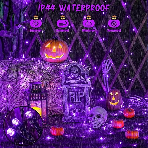 Miniatura 6 de JMEXSUSS 600 luces LED solares moradas de Halloween, 206.7 pies, luces solares de Navidad impermeables para exteriores, 8 modos de luces moradas