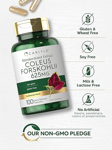 Miniatura 4 de Carlyle Coleus Forskohlii Cápsulas | 625 mg | 100 unidades | Extracto estandarizado sin OMG y sin gluten | Suplemento de forskolina