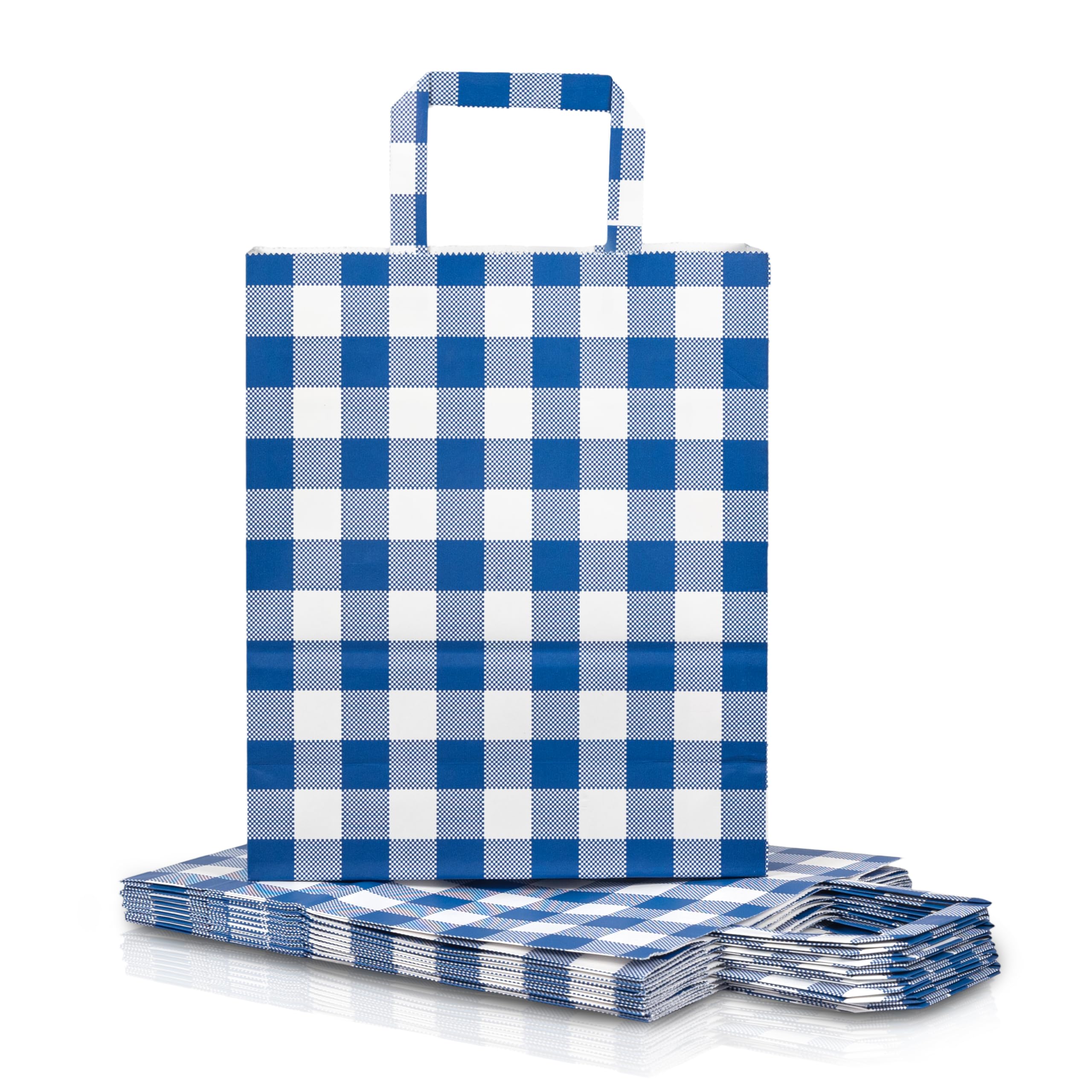 Gift Paper Bags for Return Gifts | Hirakani Premium Small Paper Carry Bags for Gifting | Goodie Bags | Pack of 10 | Birthday, Wedding, Baby Shower | Eco Friendly | Size 9"X4"X11" (Blue Checks)-image-26